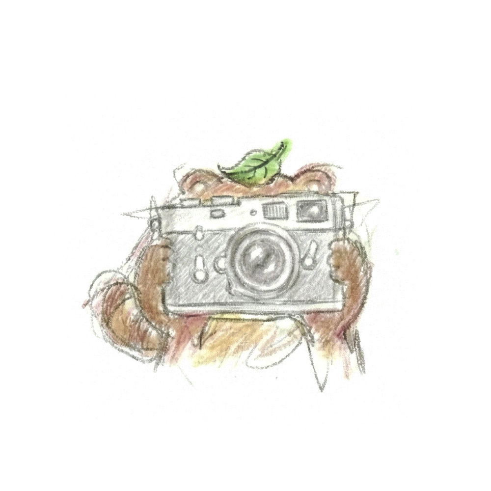 たぬきイラスト